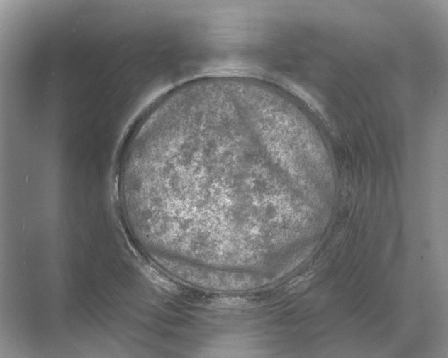 X0000073831462200608311856