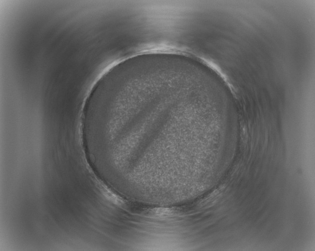 X0000073831463200608311856