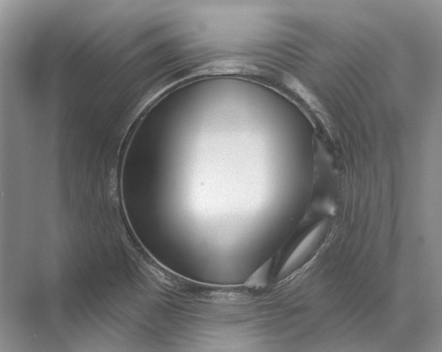 X0000073831465200608311856