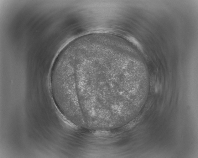 X0000073831466200608311856