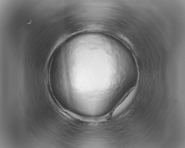 X0000073831467200608311856