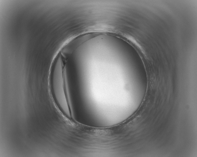 X0000073831469200608311856