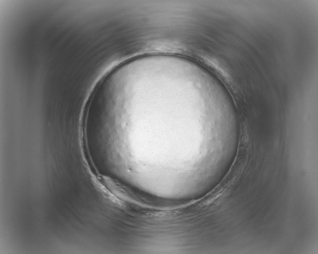 X0000073831471200608311856