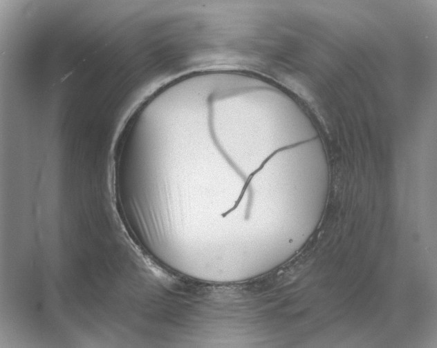 X0000073831472200608311856