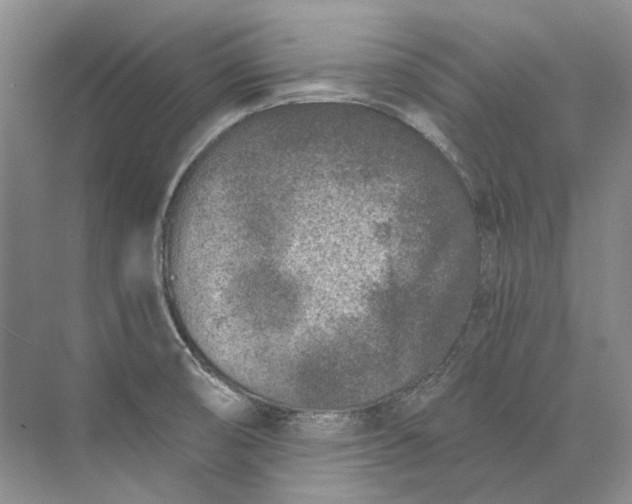 X0000073831474200608311856