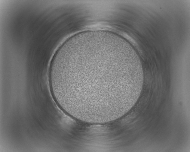 X0000073831478200608311856