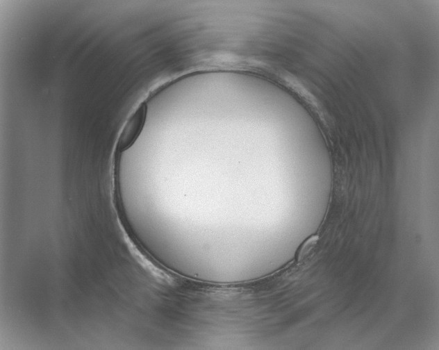 X0000073831479200608311856