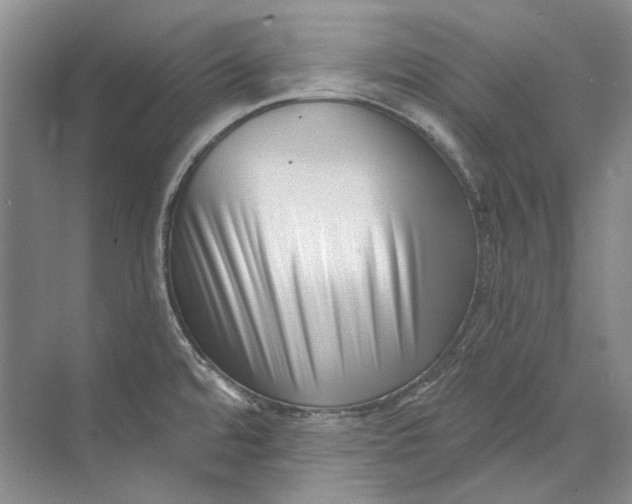 X0000073831480200608311856