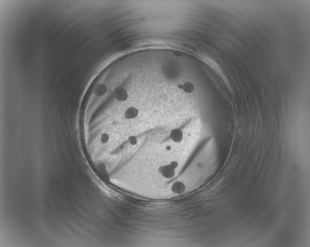 X0000073831482200608311856