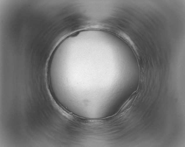 X0000073831483200608311855