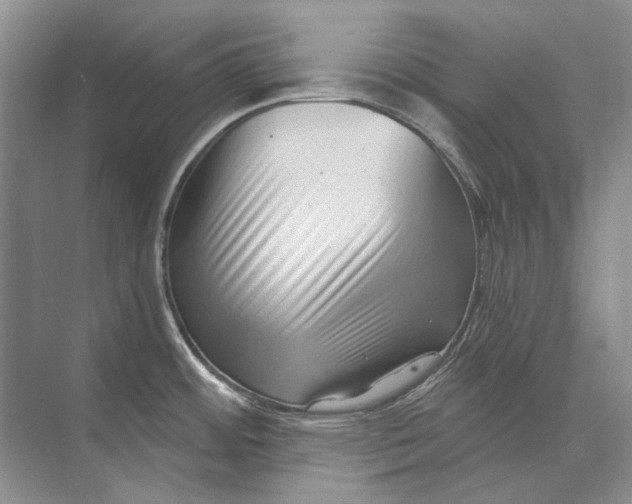 X0000073831484200608311855