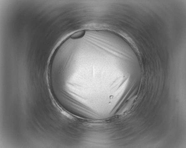 X0000073831486200608311855