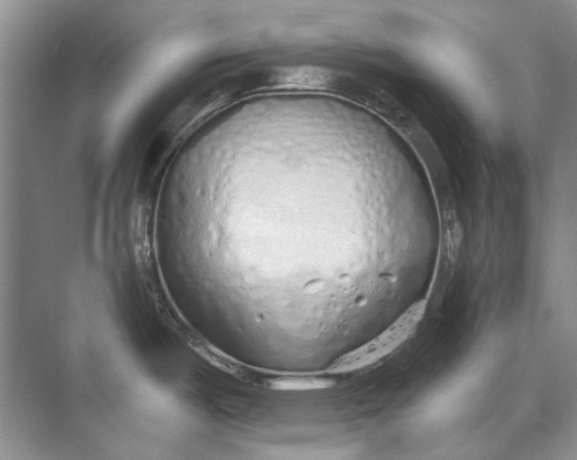 X0000073831487200608311855