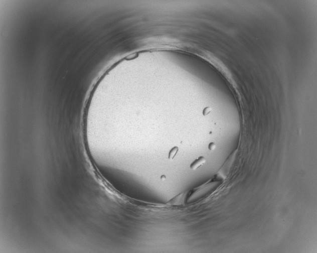 X0000073831488200608311855