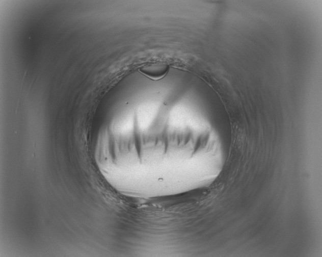 X0000073831489200608311855