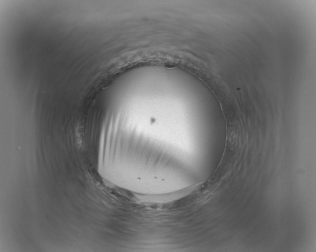 X0000073831490200608311855