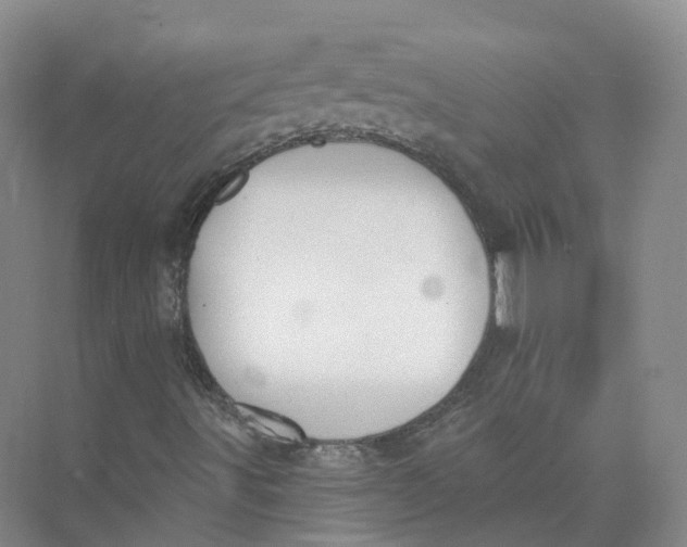 X0000073831491200608311855