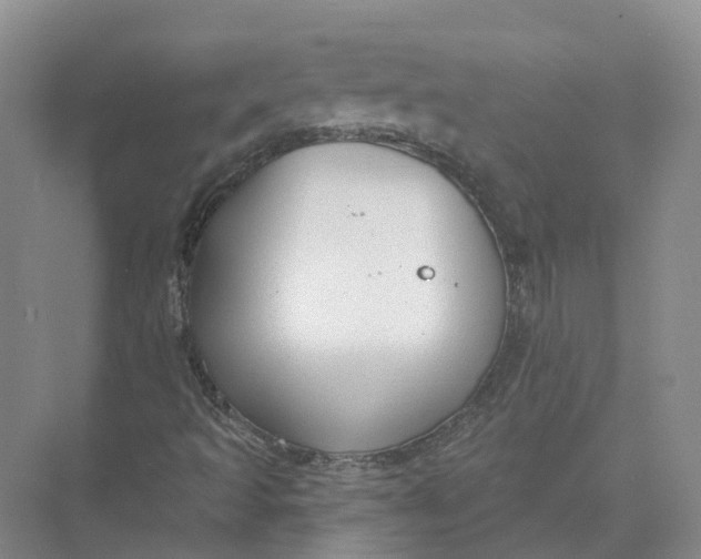 X0000073831493200608311855