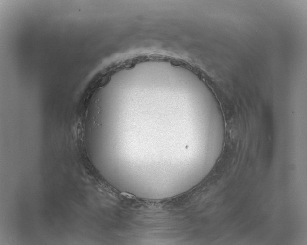 X0000073831495200608311855