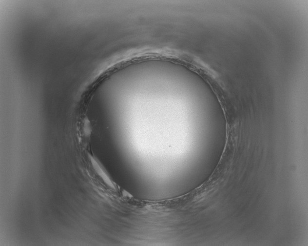 X0000073831496200608311855