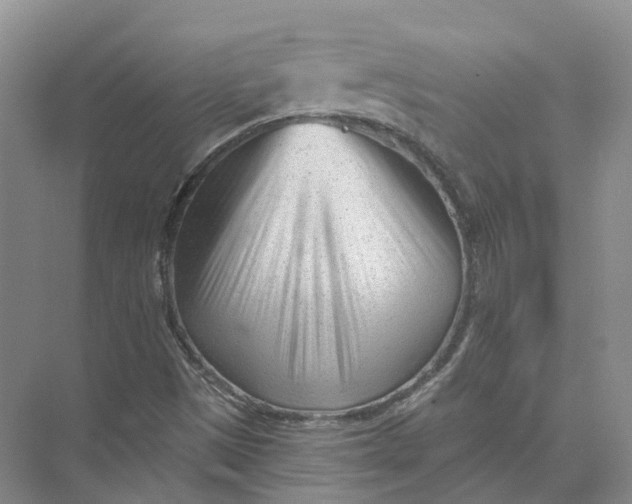 X0000073831497200608311855