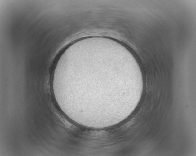 X0000073831498200608311855