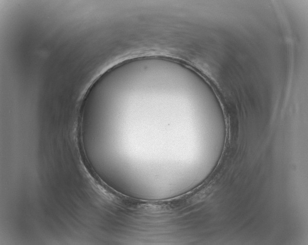 X0000073831500200608311855