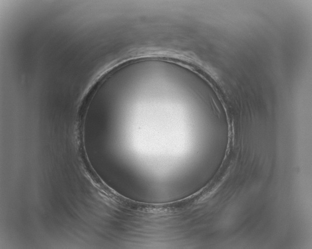 X0000073831501200608311855