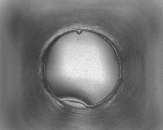 X0000073831502200608311855