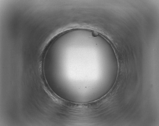 X0000073831503200608311855