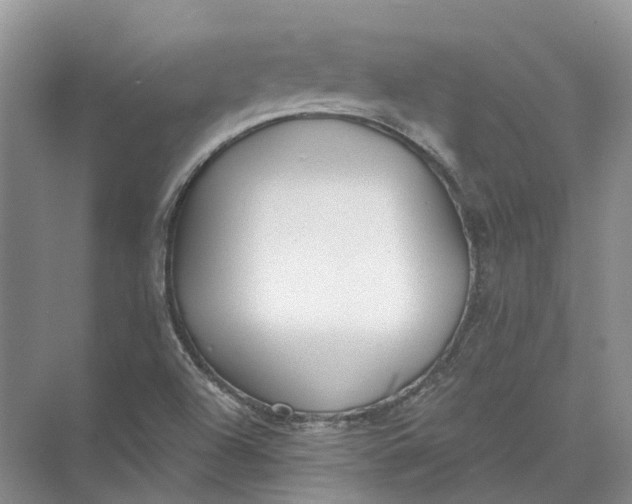 X0000073831504200608311855