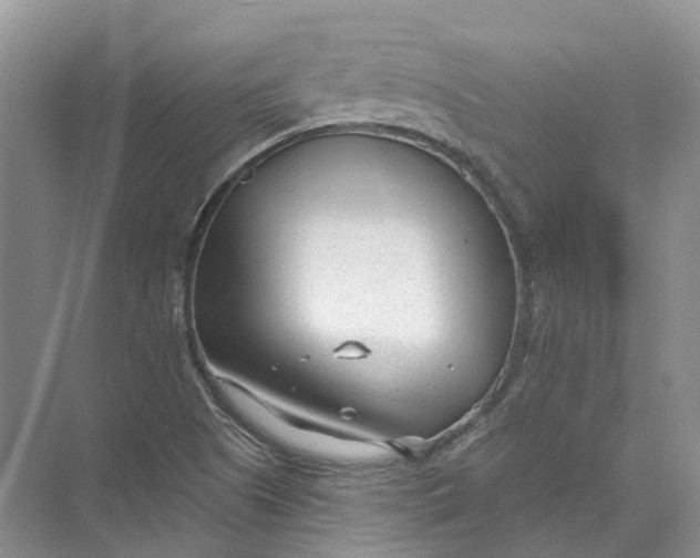 X0000073831505200608311855