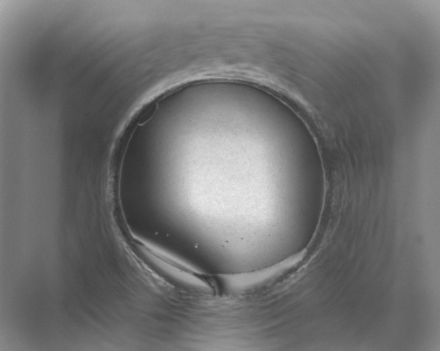 X0000073831506200608311855