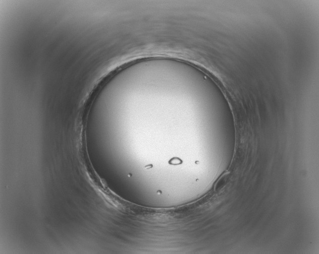 X0000073831507200608311855