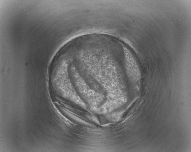 X0000073831508200608311855