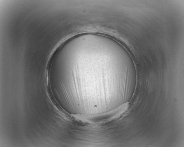 X0000073831509200608311855