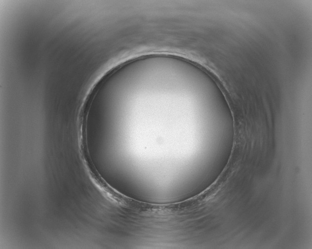 X0000073831511200608311855