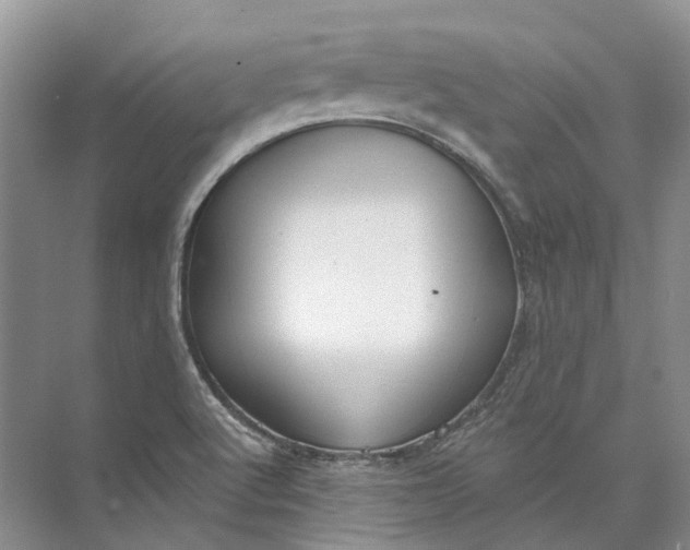 X0000073831512200608311855