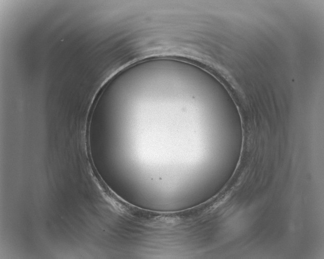 X0000073831513200608311855