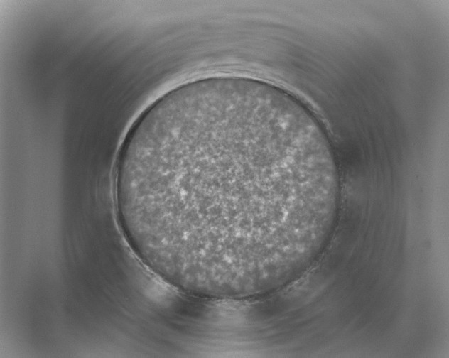 X0000073831514200608311855