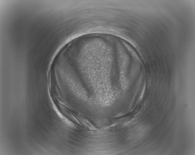 X0000073831515200608311855