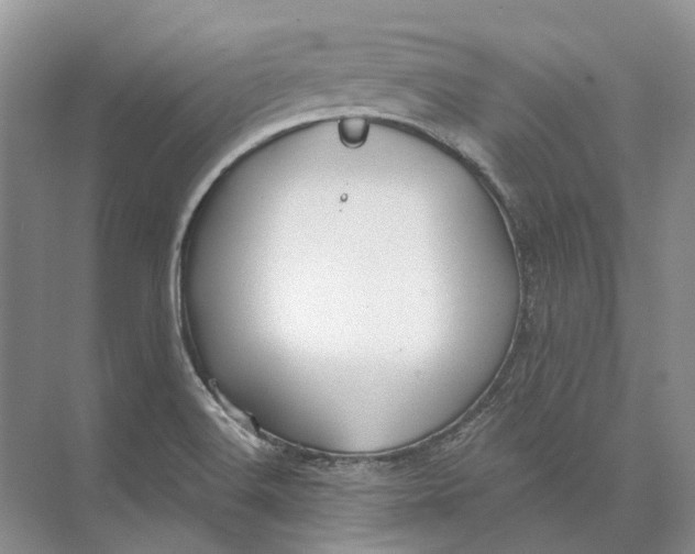 X0000073831516200608311855