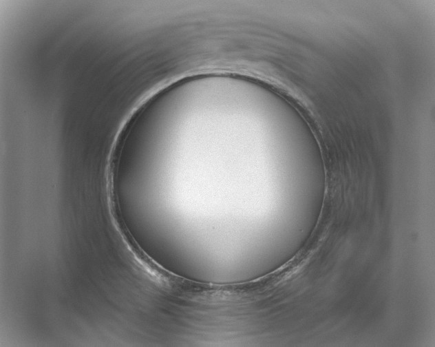 X0000073831517200608311855