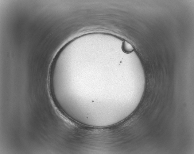 X0000073831518200608311855