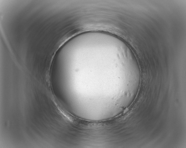 X0000073831521200608311855