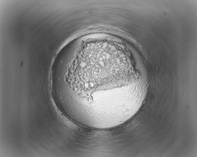 X0000073831522200608311855