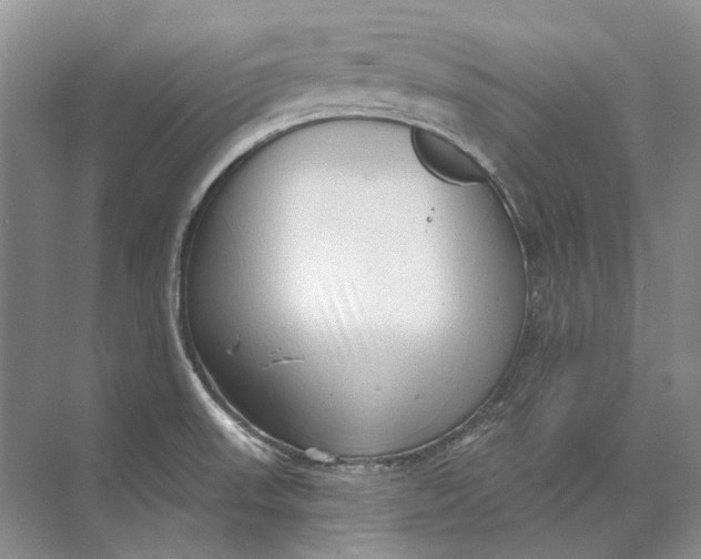 X0000073831523200608311855