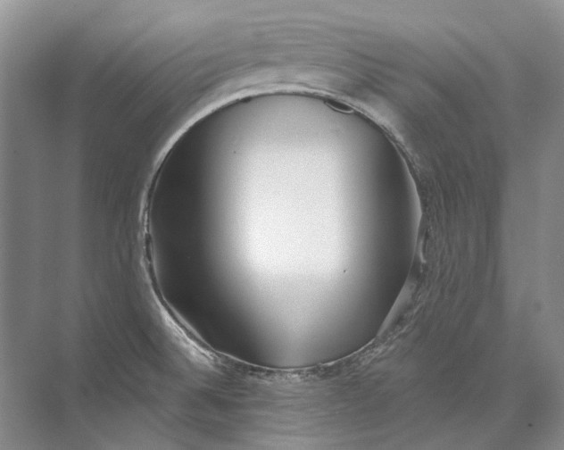 X0000073831524200608311855