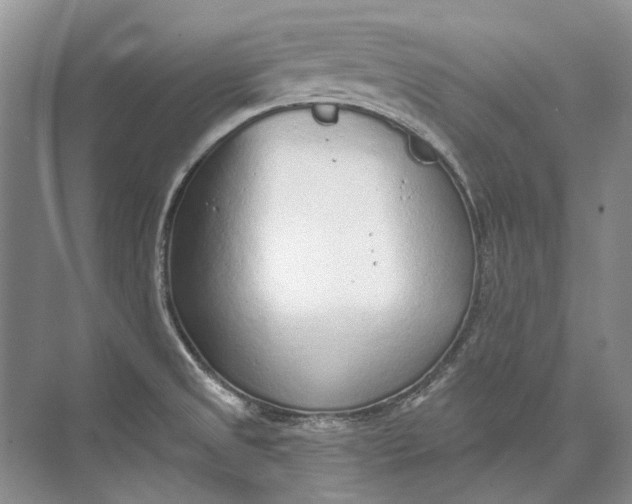 X0000073831525200608311855