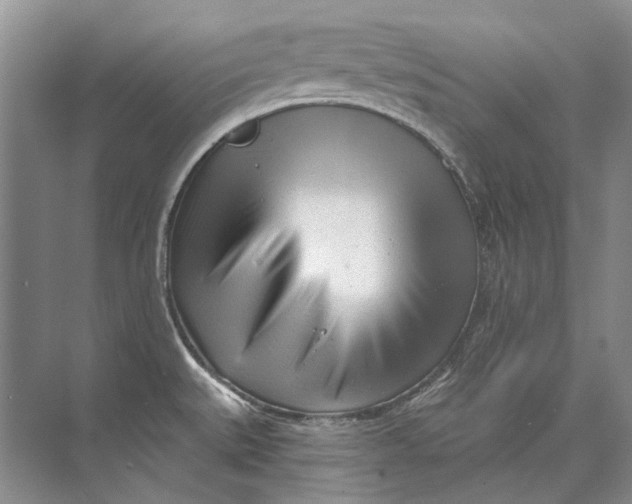 X0000073831527200608311855